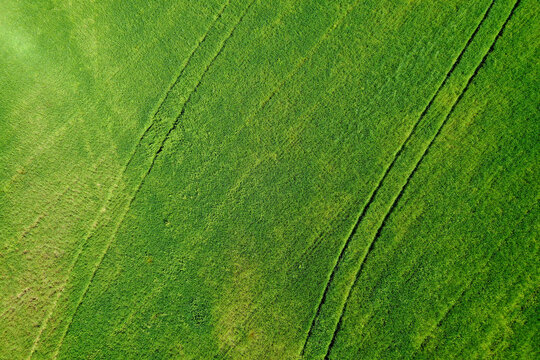 Overhead view of a vibrant green tractor tracks in grass