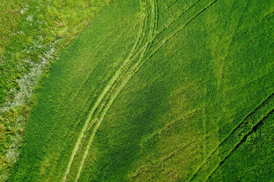 Overhead view of a vibrant green tractor tracks in grass