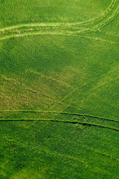 Overhead view of a vibrant green tractor tracks in grass