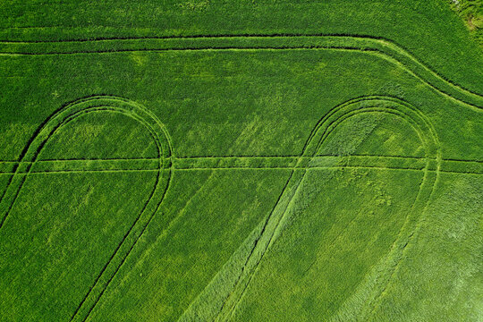 Overhead view of a vibrant green tractor tracks in grass