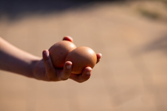 Hand holding two brown eggs outdoors