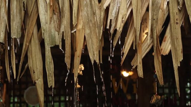 Dried palm leaf water rain tropical roof brown natural texture shelter outdoor rustic traditional eco friendly wet closeup organic handmade protection countryside rural environment thatched roof