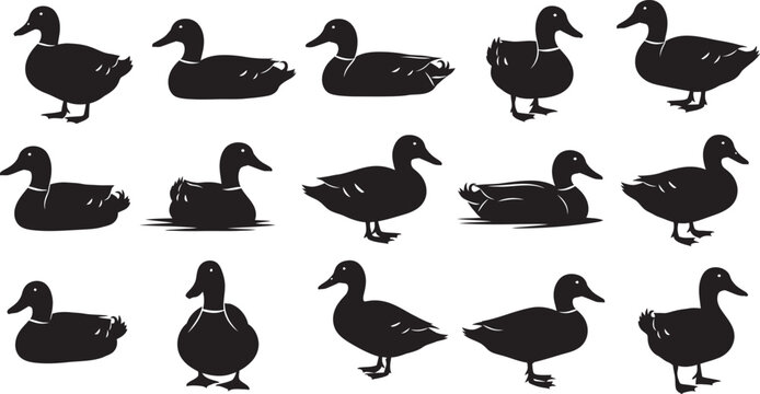 Collection of black silhouette ducks on white background