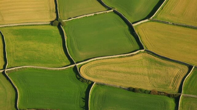 Aerial view of green and yellow agricultural fields separated by stone walls in the countryside