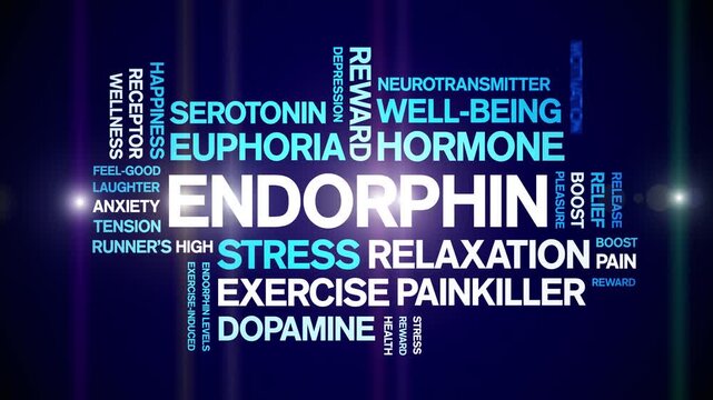 Endorphin animated word cloud-text design animation tag kinetic typography seamless loop.