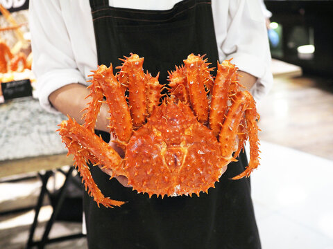 Waiter holds real steamed Alaska king crab (Snow crab).
