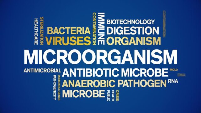 Microorganism animated word cloud-text design animation tag kinetic typography seamless loop.