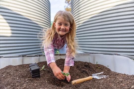 Young girl planting small green seedling in raised garden bed filled with soil