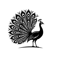 Fototapeta premium A vibrant peacock showcases its stunning feathered tail in a majestic display.