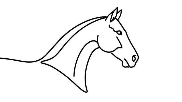 Black and white line drawing of a horse head.