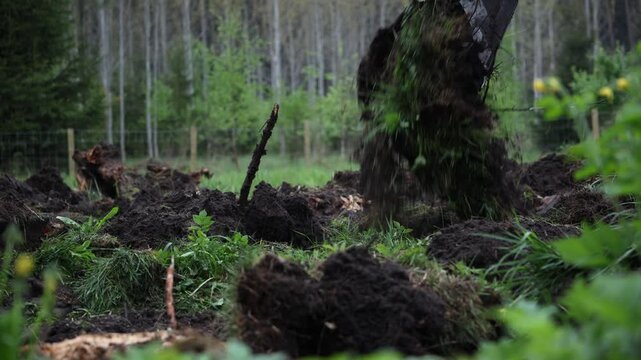 Excavator bucket digs into dark turf, flinging soil and roots across a fenced rural woodlot near birch like trees, with stumps and sod piles on an overcast day.