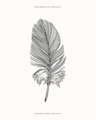 Hand drawn vector illustration of a bird feather. Perfect for nature or organic themes. © KOSIM