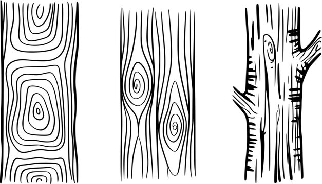 Hand-drawn of wood grain patterns and tree bark textures