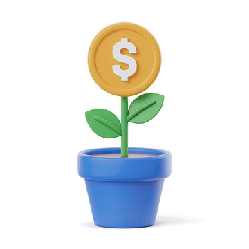 Close-up of a dollar sign flower in a pot
