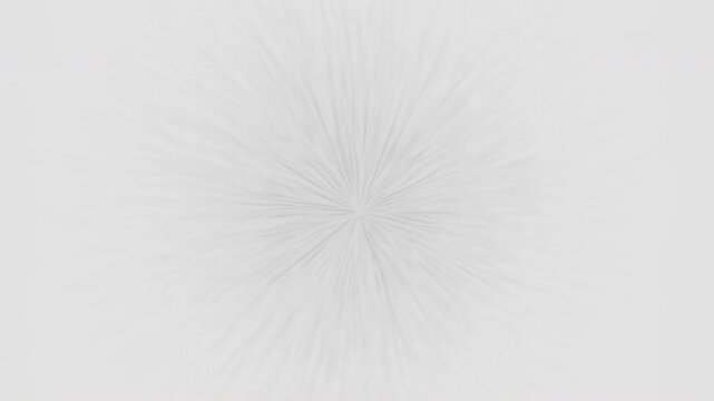 Soft radial folds gently opening from bright center into muted gray perimeter