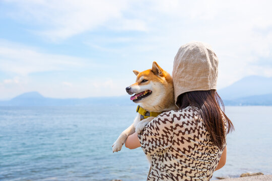海を眺める柴犬と飼い主