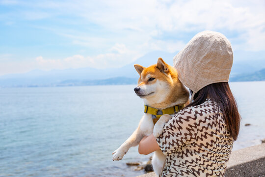 海を眺める柴犬と飼い主