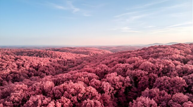Aerial view of a pink infrared forest landscape under a clear blue sky