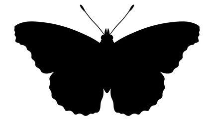 Butterfly Silhouette Against A White Background butterfly shape © FARISTA