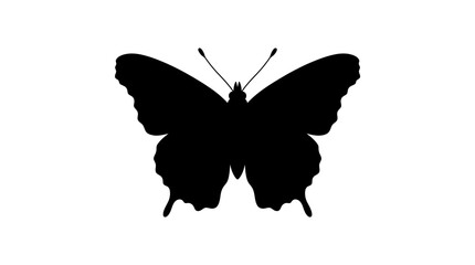 Black butterfly silhouette against a white background isolated insect shape © FARISTA