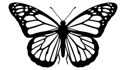 Black Silhouette Of A Butterfly On A White Background © FARISTA