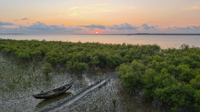 Sunset Over Coastal Mangrove Forest and Tidal Wetlands in Cox's Bazar, Bangladesh