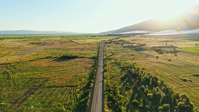 A road is visible going through vast green fields. The sun shines brightly from a clear sky. The landscape shows crops and trees around the road. It is midday in a rural area.