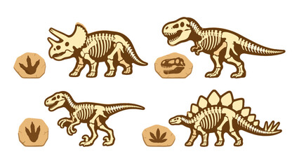 Cartoon dinosaur skeleton set with fossil stones and footprints © Alan