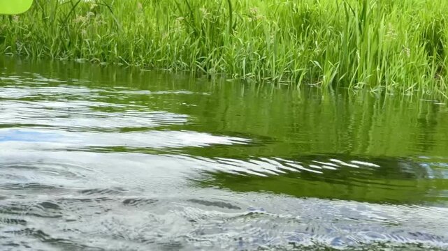 Slow motion close up of kayak paddle lifting from river water with droplets falling back to surface. Detailed summer kayaking scene captured in natural outdoor environment.