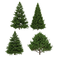 Fototapeta premium Five distinct types of trees illustrated in a simple graphic style