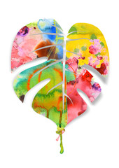 Watercolor monstera leaf illustration, vibrant tropical foliage with colorful paint splashes, artistic botanical plant element on white background © ilian