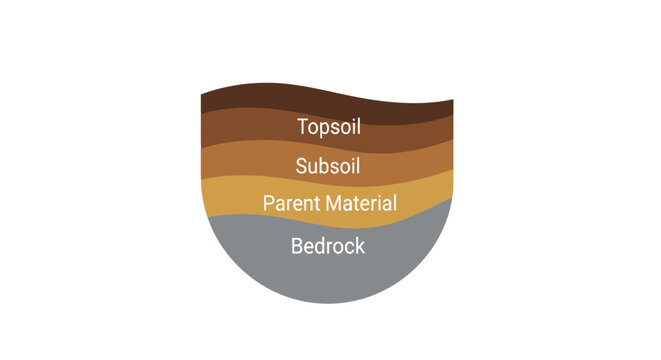 A diagram showing the different layers of soil and earth composition