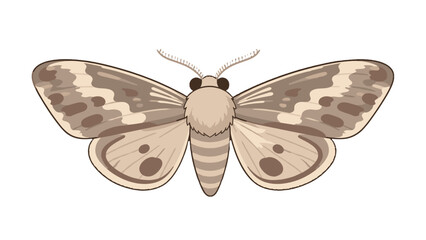 Brown spotted moth with spread wings in cartoon vector style © Alan