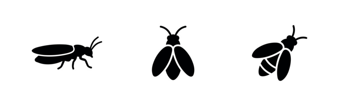 House fly insect icons representing pests and common household insects