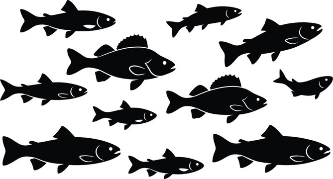 School of fish silhouettes against a white background a collection of aquatic animal shapes in a simple graphic black body cartoon community
