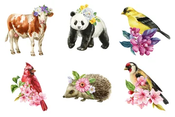 Watercolor animal and bird clipart set with panda cow hedgehog cardinal goldfinch and floral spring illustrations © Hanna