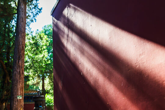 Sunlight and tree shadows on old red wall