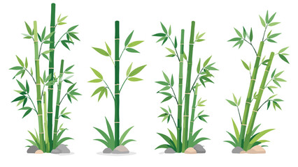 Fototapeta premium Green bamboo stems and leafy branches isolated on white