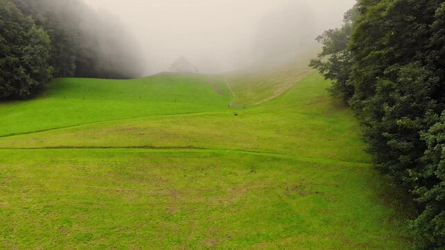 Foggy Swiss pasture bordered by trees with a barn fading into the mist, aerial approach