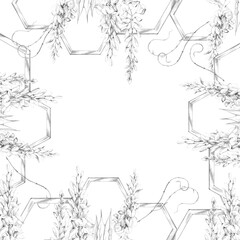 Rustic wooden hexagonal trellis with cascades of flowering wisteria, leafy vine growth. Graphite pencil hand drawn illustration. Artisan branding, menu covers, book designs, greenhouse event materials © Elena