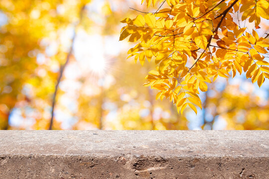 Aged stone table top on blurred yellow autumn forest in sunlight background