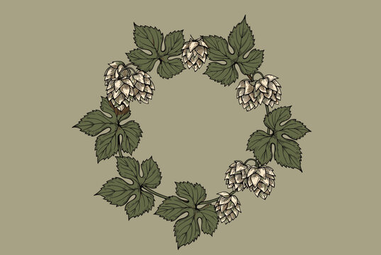 Hand-drawn beer hops circular frame wreath with green leaves and ripe cones on an olive green background.
