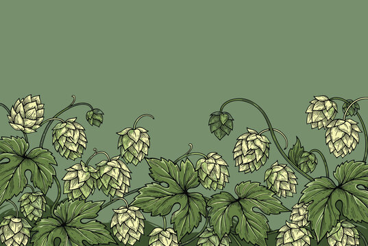 Vintage hand drawn beer hops border illustration with green foliage and cones over a dark green background.