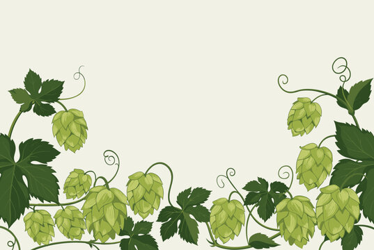 Fresh green beer hops with vines and leaves forming an elegant frame on a soft cream colored background.