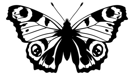 Butterfly Silhouette Against A White Background Detailed Wing Patterns © FARISHTA FARIA