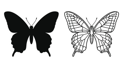 Butterfly Silhouette And Outline Black And White Graphic © FARISHTA FARIA