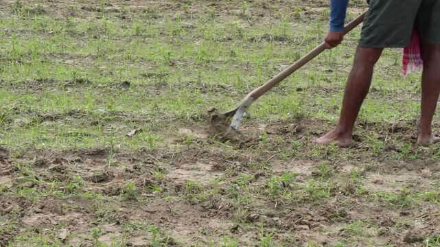 Farmer digging soil with spade outdoors