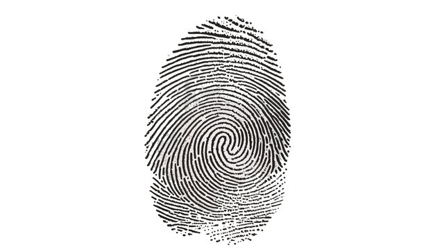 Black fingerprint pattern, isolated on transparent background