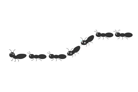 いろんな表情をしたアリの行列
