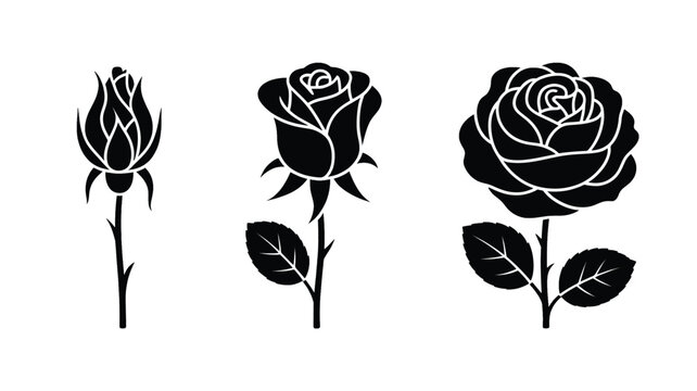 Black and white minimalist illustration of three roses in full bloom and bud